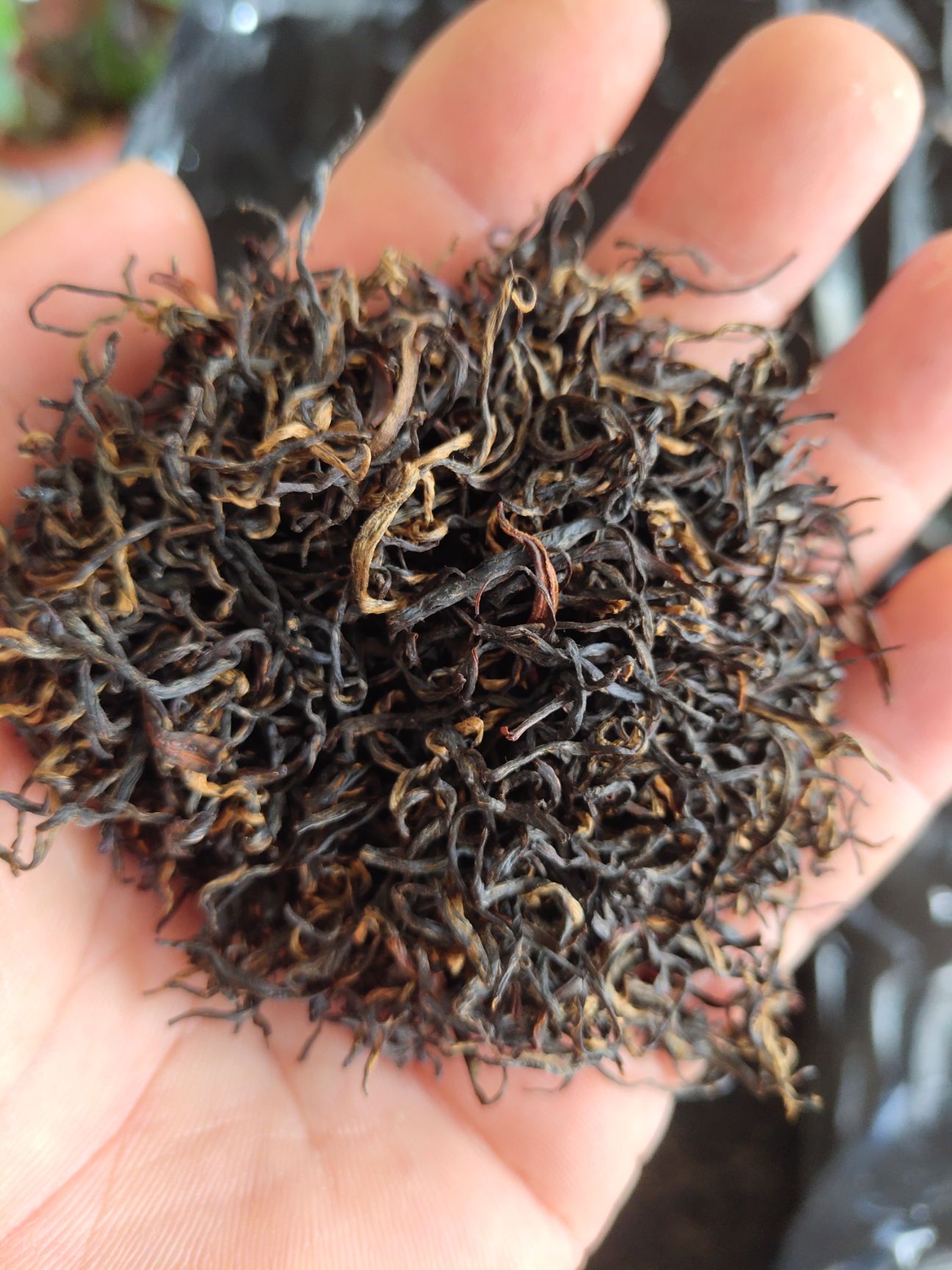 祁门红茶  祁红香螺