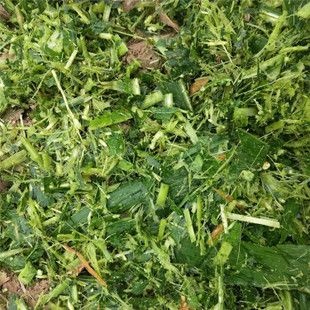 曲靖玉米青贮  青储饲料，玉米秸秆，甘蔗渣等高质量牛羊马饲料