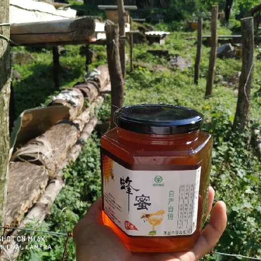 留坝县秦岭大山土蜂蜜，无污染，百花蜜