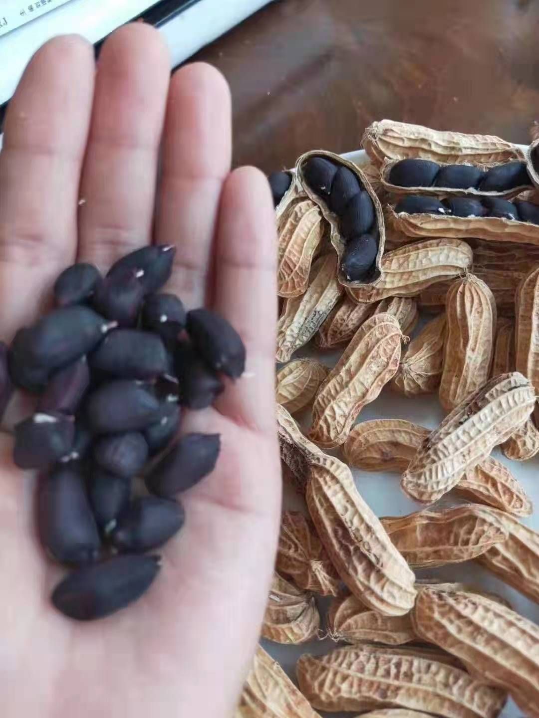  云南普洱黑花生