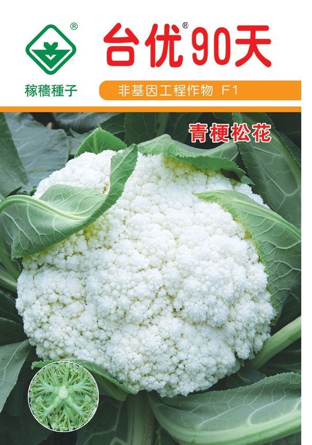 松花菜种子  引进中晚矮脚青梗半松花类型，台优80、台优85、台优90