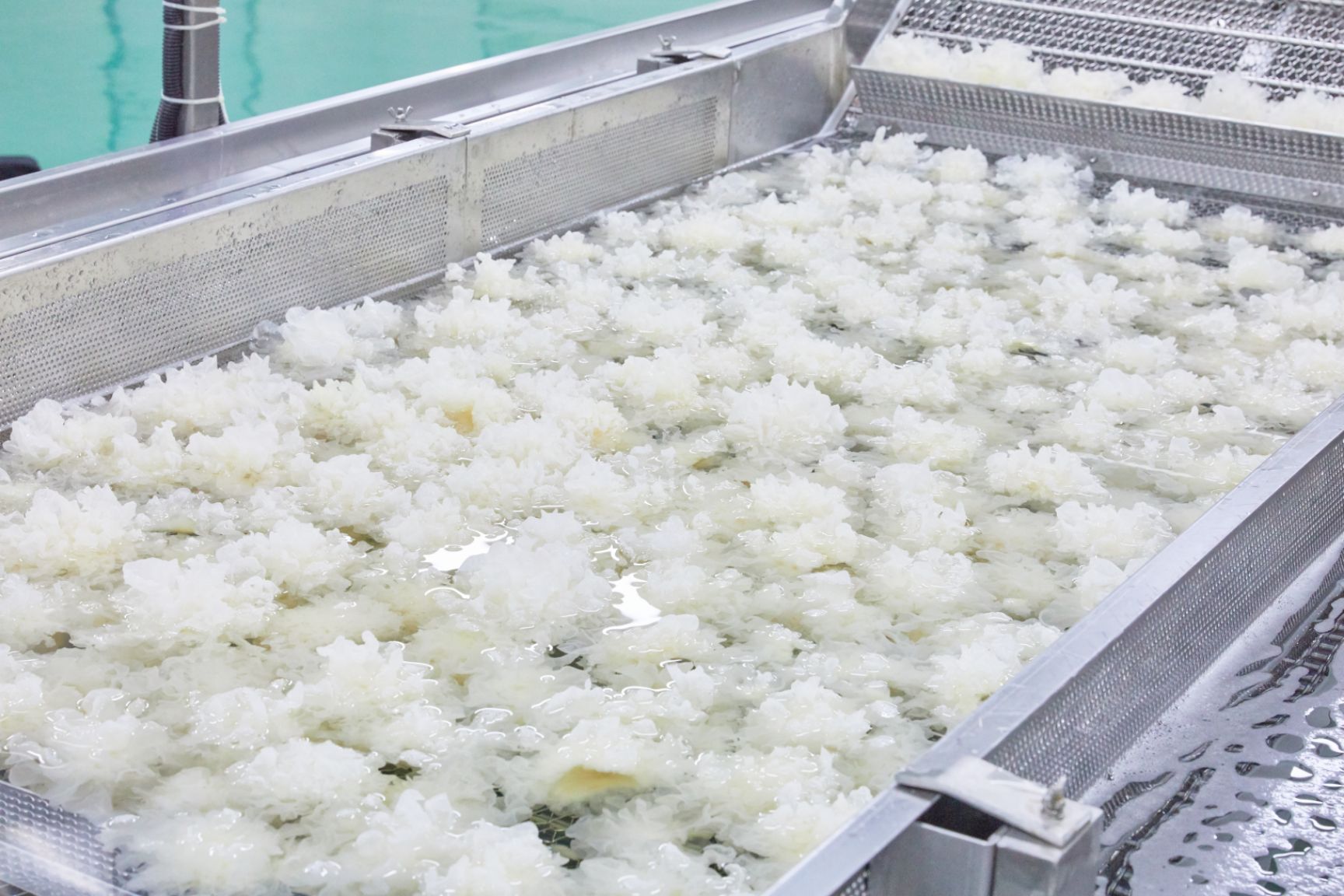 有机银耳，银耳碎，鲜银耳。