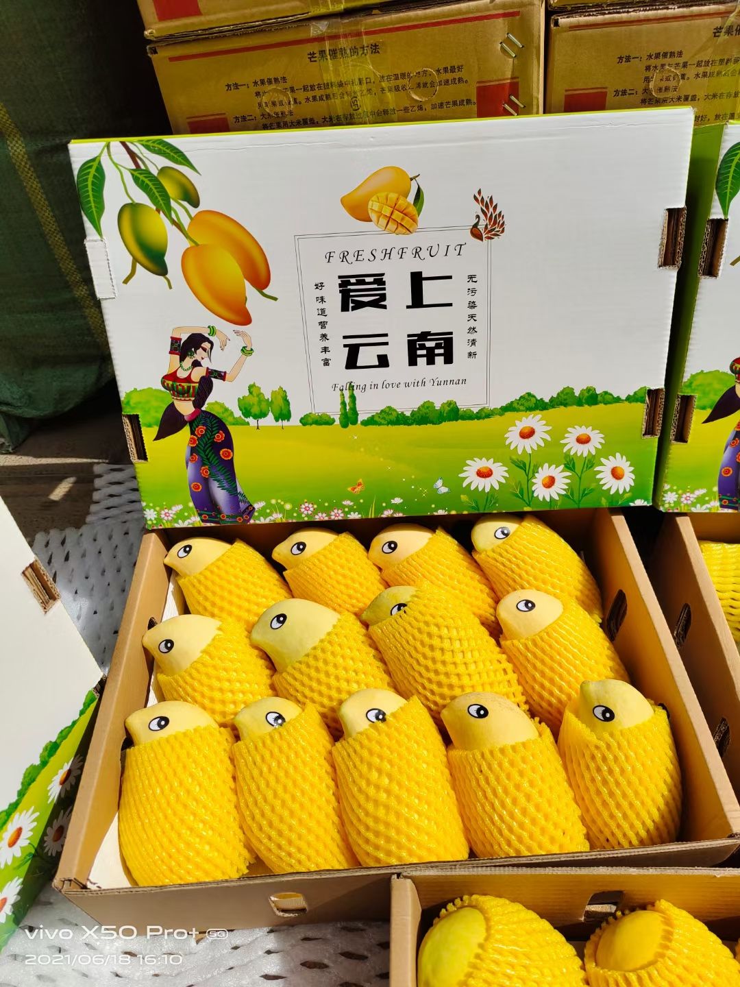 象牙芒 火山芒果，超级香甜，保证精品