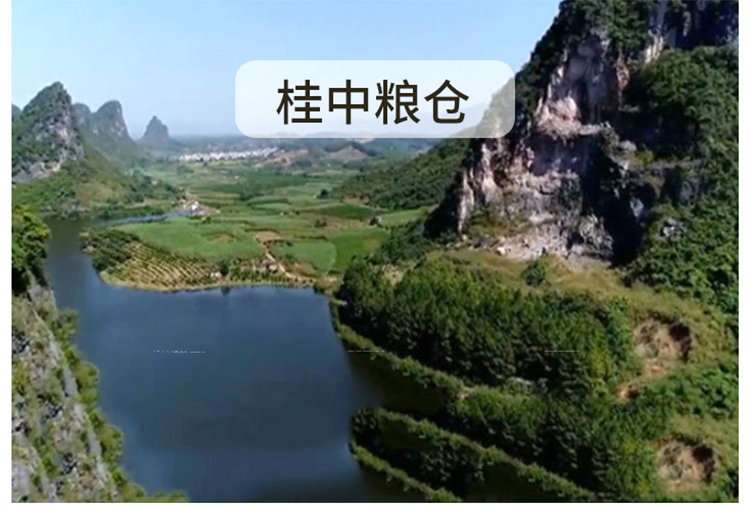  象州丝苗米新米象牙香米广西大米厂家长粒香米真空包装2.5kg