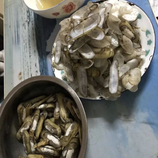 福州 黄蛏、蛏干大量上市，手工蛏干提前预订