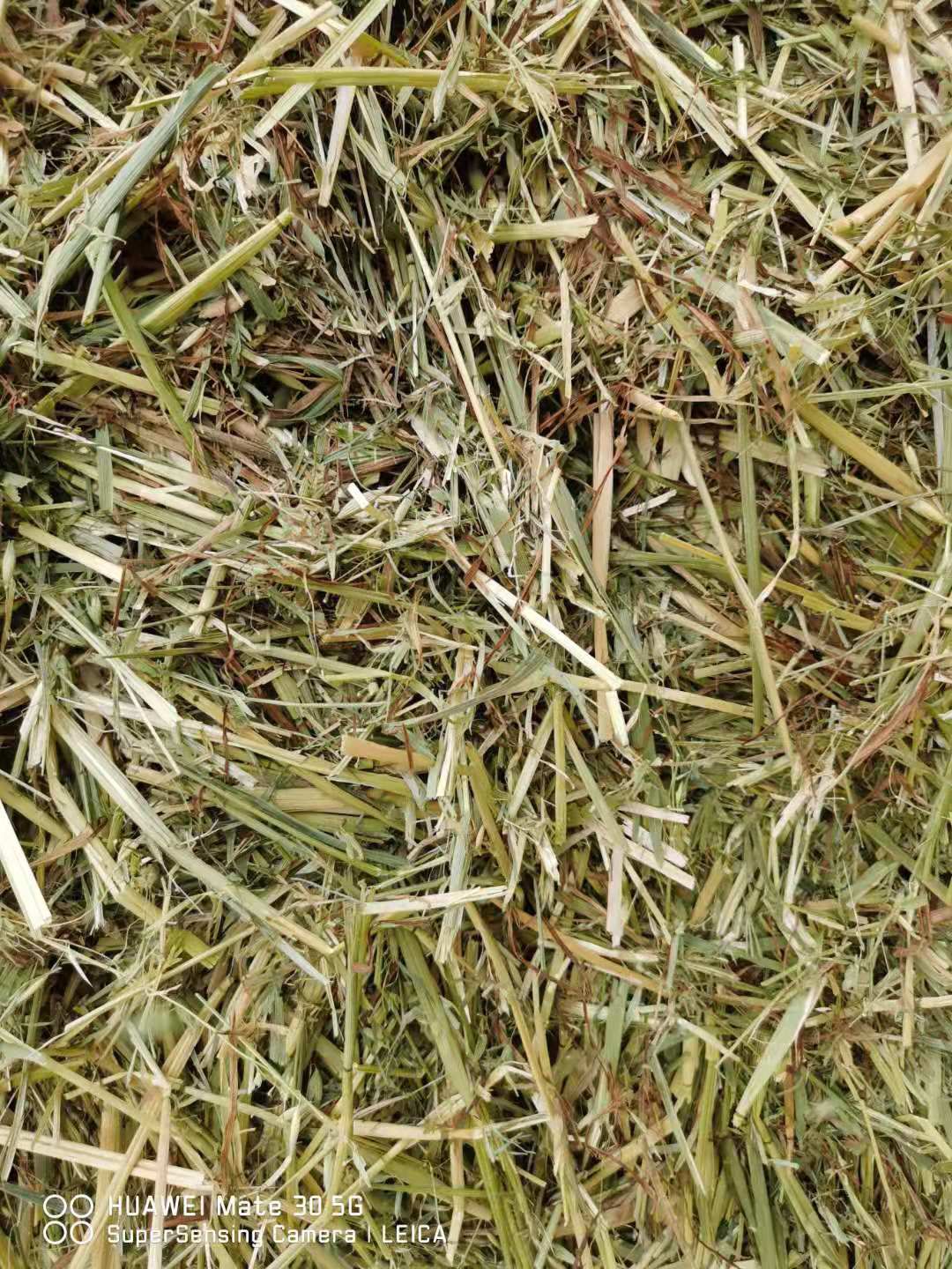 花生秧  草料，过滚筒除尘