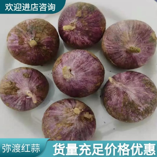 红皮蒜  高原红蒜，多瓣蒜，独头蒜产地直供一手货源。
