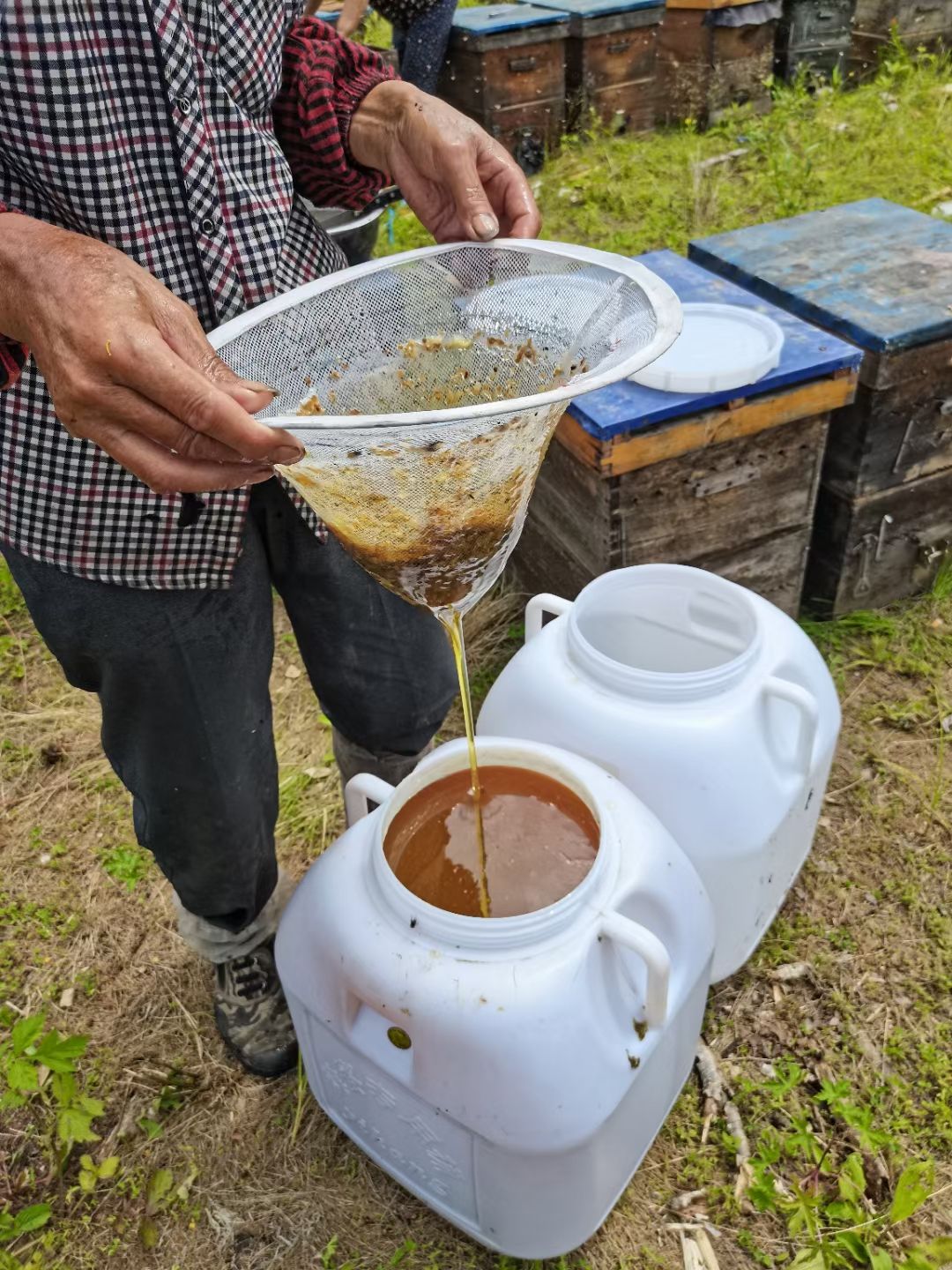 蜂蜜  椴树蜜  优质蜂蜜