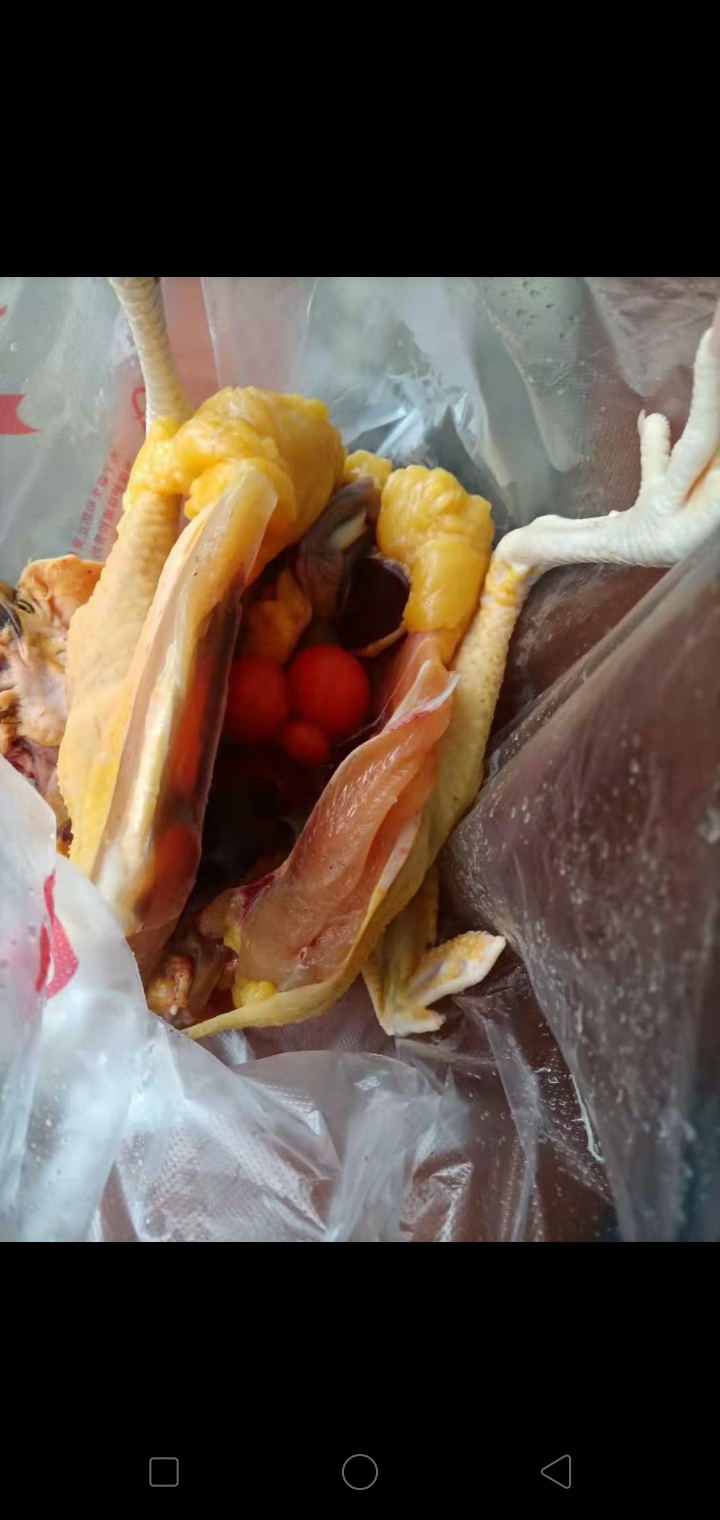 黄毛鸡，土黑鸡