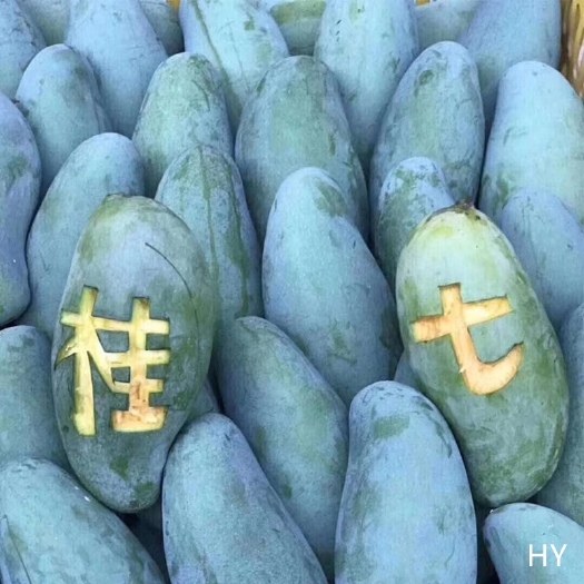 广西桂七芒  
田东桂七不贵，钜惠！浓甜浓香肉