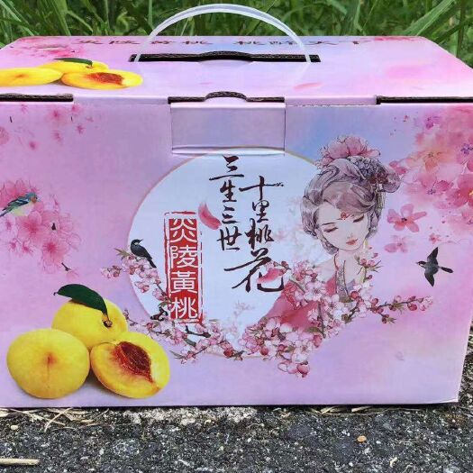 炎陵县锦绣黄桃 炎陵黄桃，陶果惟一。口感甜脆香。