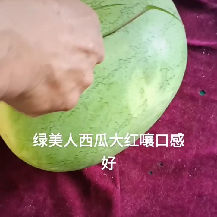 冠龙西瓜 庆红宝 冠龙 龙卷风 西瓜