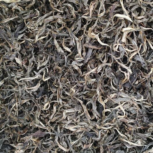 景东县毛尖茶 普洱茶