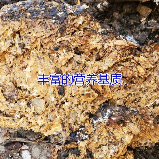 交口县蘑菇废料  香菇废菌棒批发零售