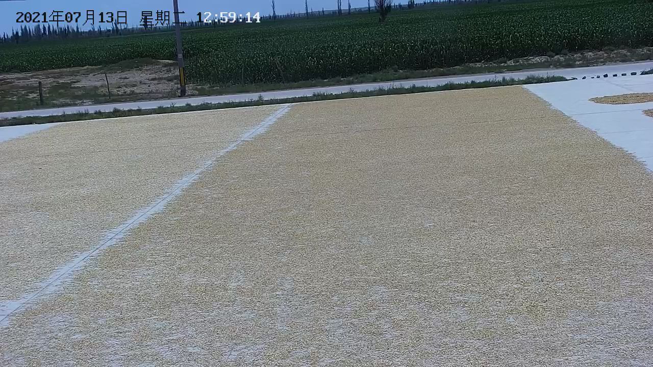 干黄花菜出售