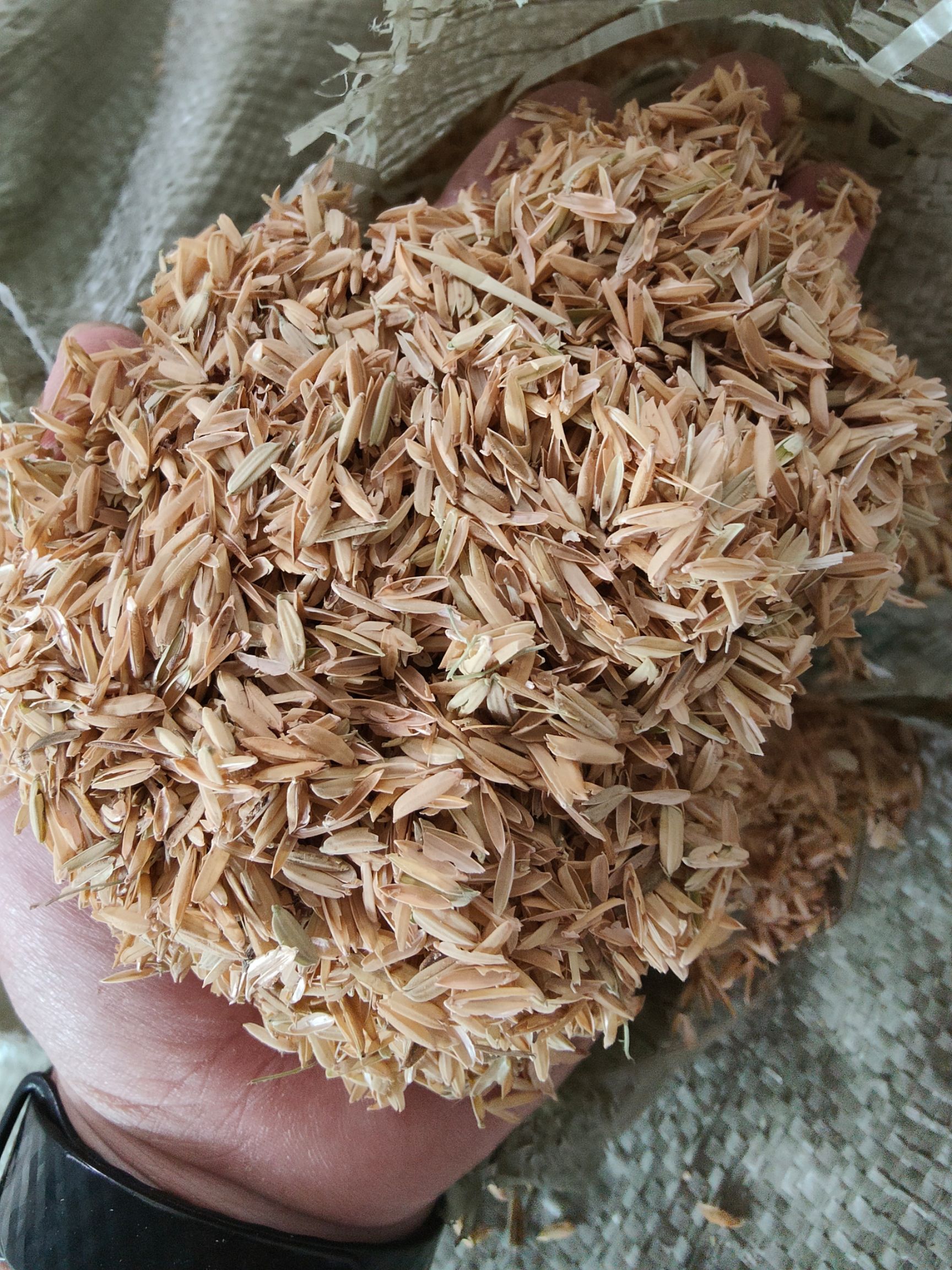 谷壳稻谷壳  稻谷壳