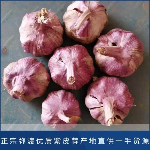 弥渡县紫皮蒜  紫皮大蒜，产地直供一手货源，欢迎各位新老客户来电咨