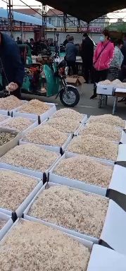 虾皮  ^_^质优价廉