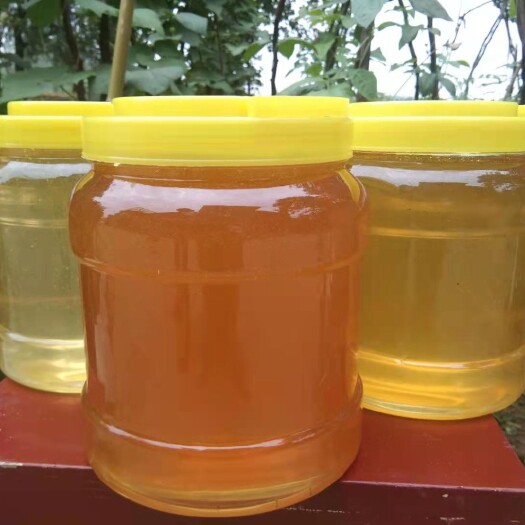 济源市百花蜜 蜂蜜