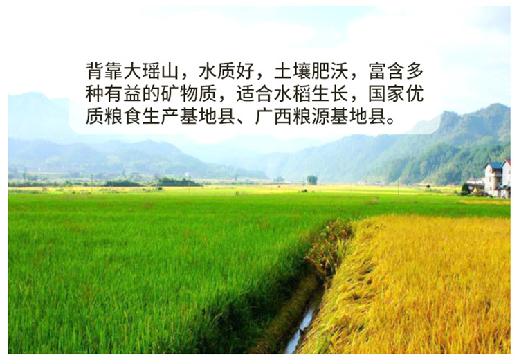  象州丝苗米新米象牙香米广西大米厂家长粒香米真空包装2.5kg