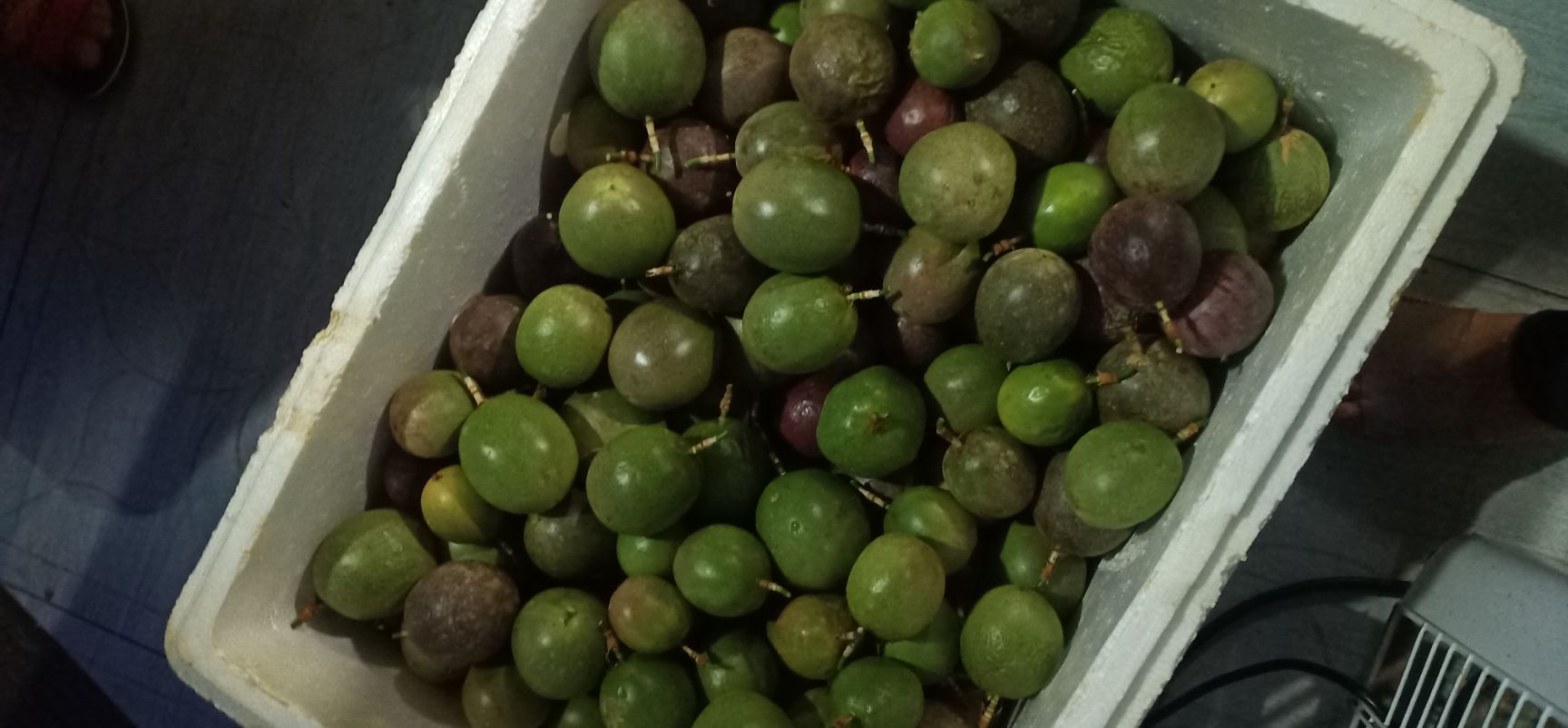 绿皮百香果  台农