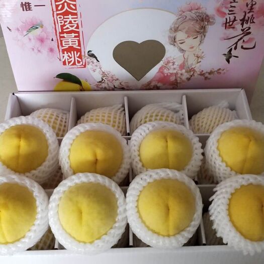炎陵县锦绣黄桃 炎陵黄桃，陶果惟一