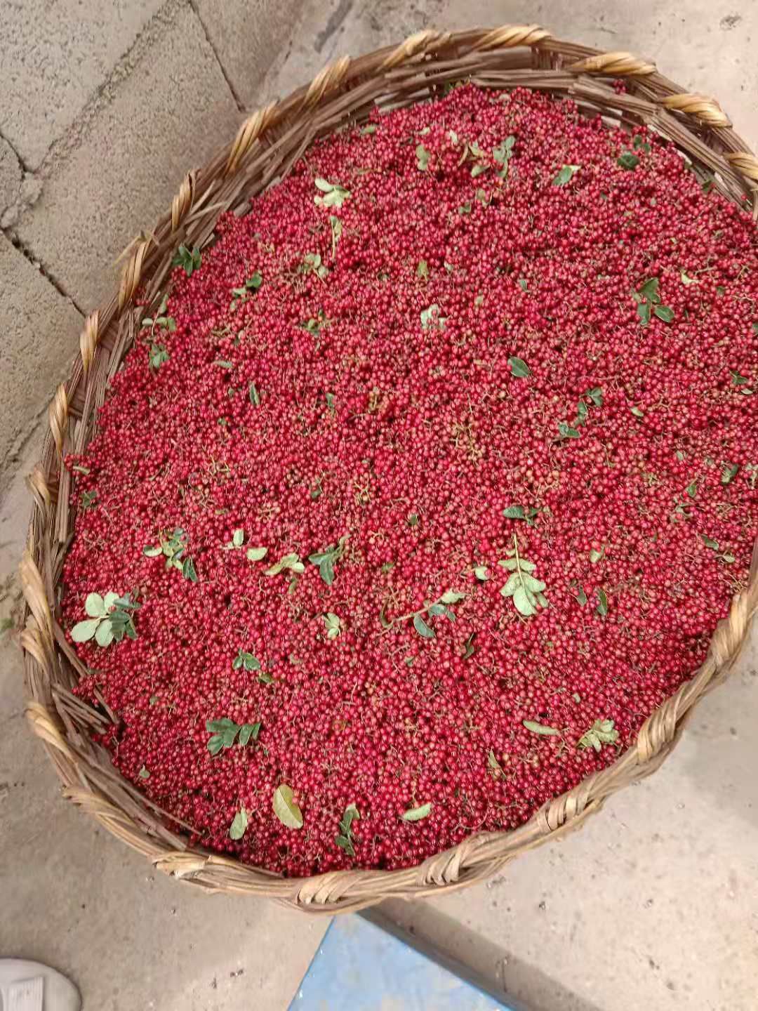 大红袍花椒  云南大红袍。