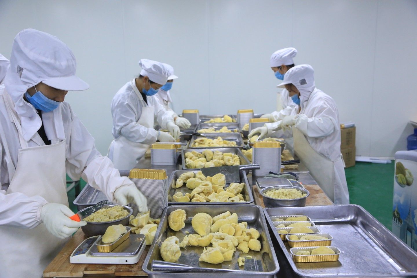 金枕头榴莲 冷冻榴莲    烤榴莲半成品 烤榴莲100克/盒