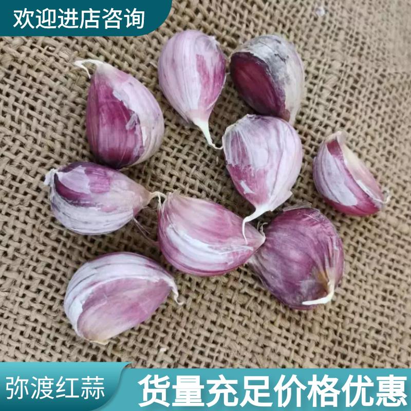 红皮蒜  ，精选云南高原红蒜种子，产地直供。