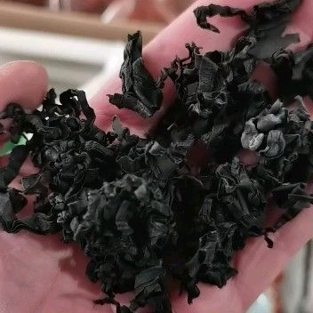 裙带菜  干裙带菜！螺旋海藻！凉拌菜涮火锅等一斤泡发18斤左
