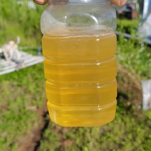 平南县蜂蜜  椴树蜜  无污染  优质蜂蜜