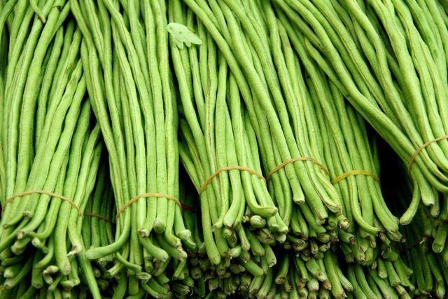 生物肥  豆角专用肥