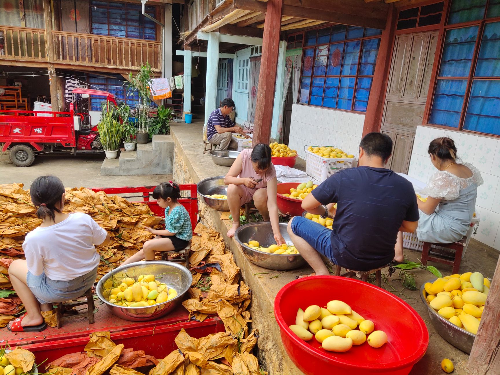 象牙芒 火山芒果，超级香甜，保证精品