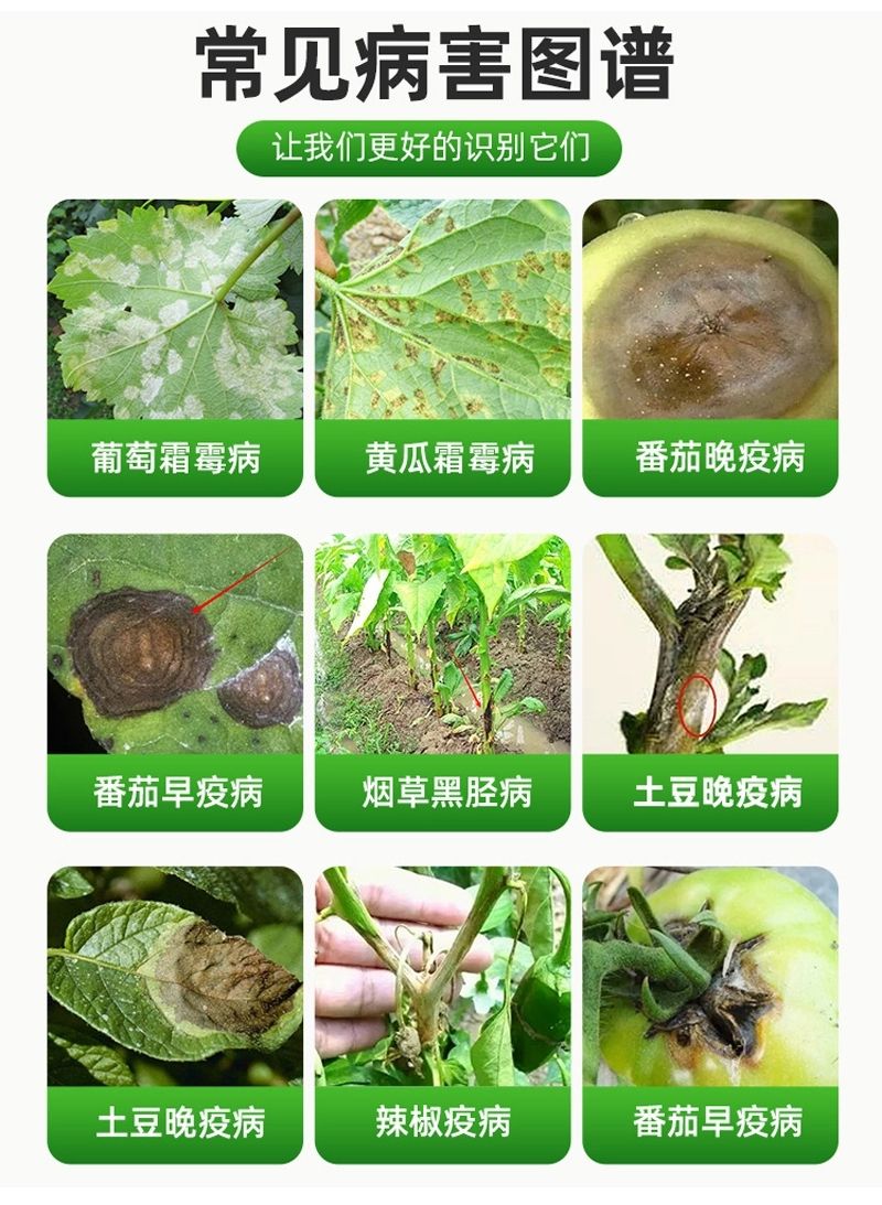 浙江一帆58%霜扑甲霜锰锌100克霜霉病黑胫病晚疫病黄瓜蔬菜