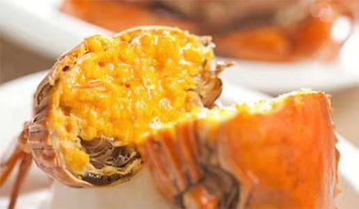 青蟹 广东头手黄油蟹