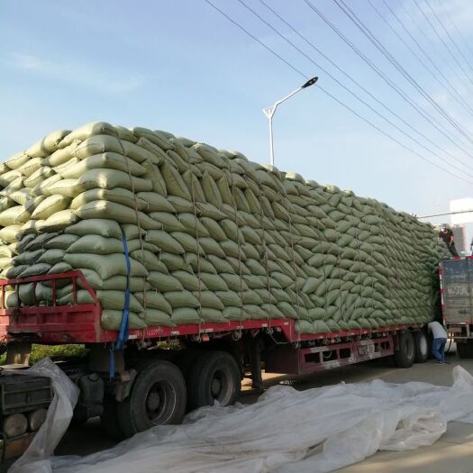 郴州 大量供应优质稻壳