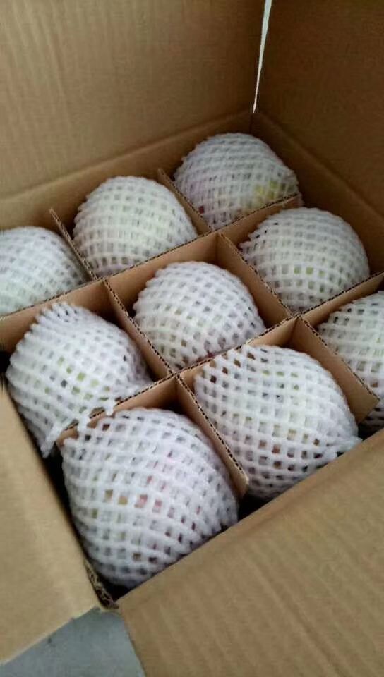 红富士苹果〈香甜可口，水分多）