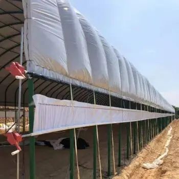 大棚  冷棚、日光温室、纹洛温室、薄膜连栋。