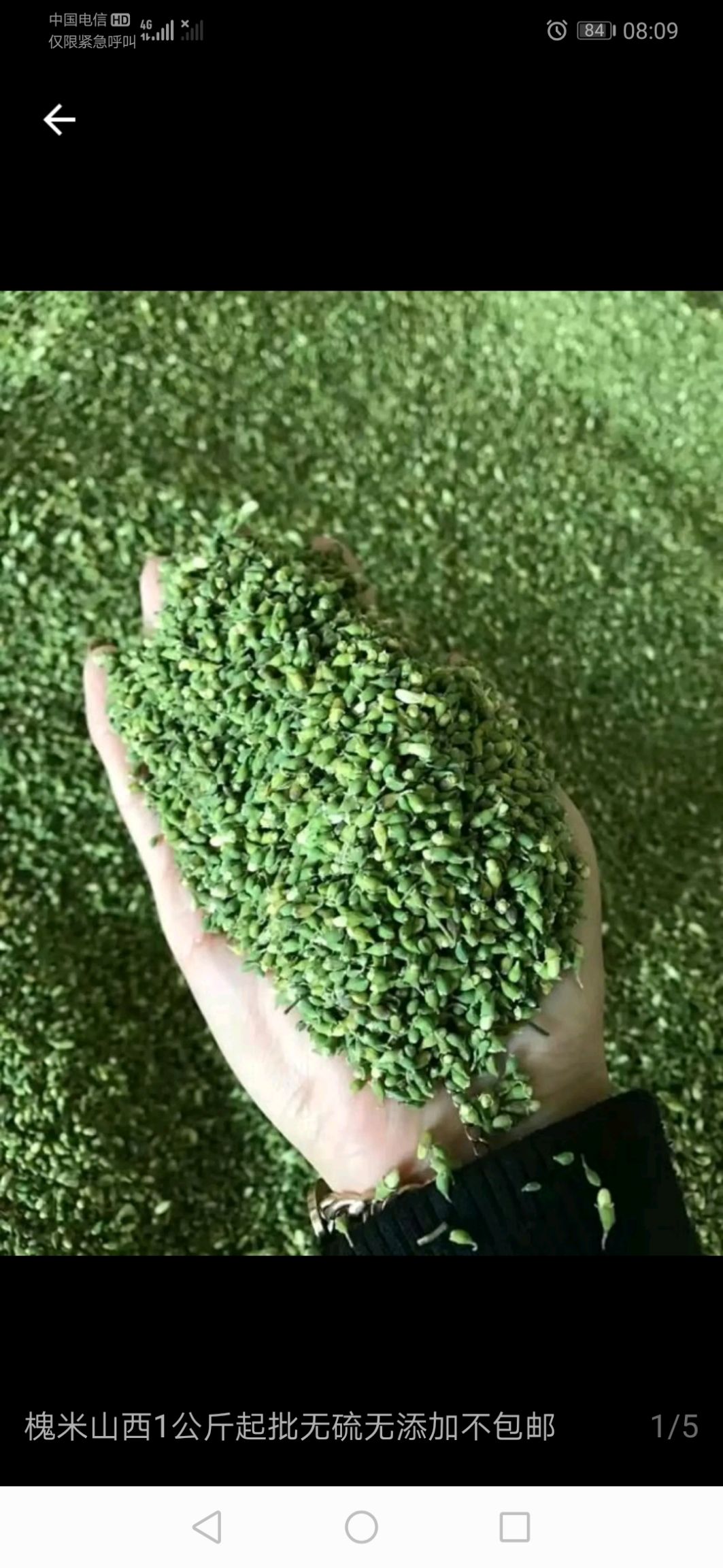 2022新鲜槐米纯度净，含量高，全国供货