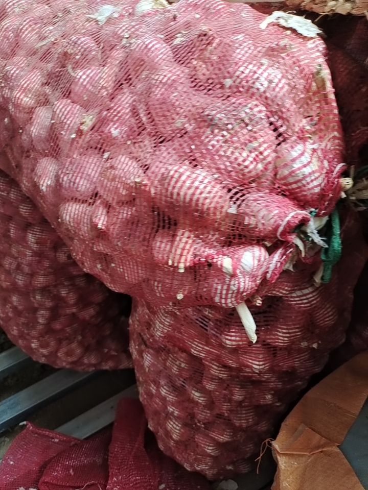 白皮蒜 江苏省徐州市邳州市 5.5-6.0cm 新蒜 库外蒜 干蒜