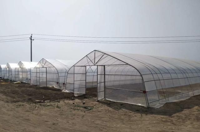 大棚  冷棚、日光温室、纹洛温室、薄膜连栋。