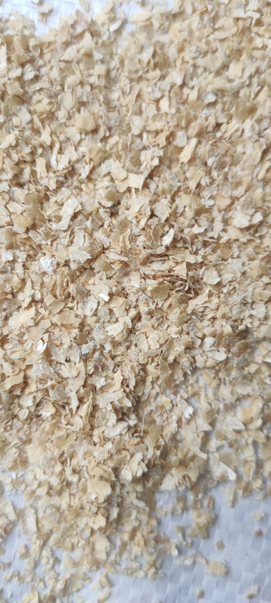 麦麸  五得利益海中粮麸皮优惠纯麸皮烘干现货