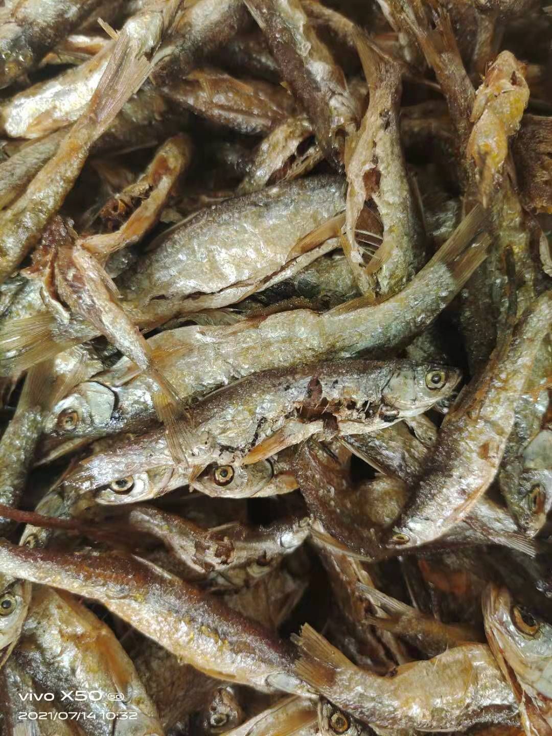 鱼干  油炸破肚白肖