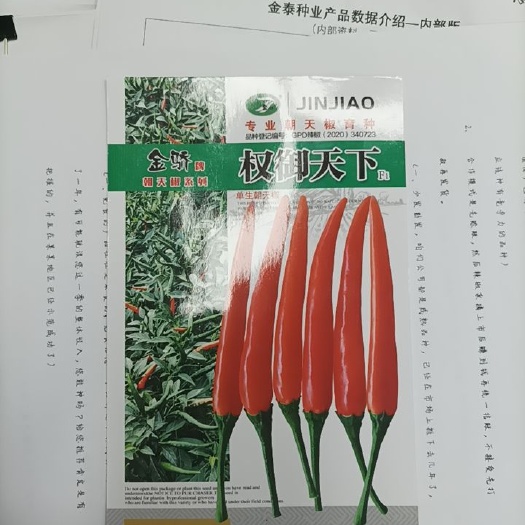 合肥辣椒种子 权御天下朝天椒种子大果高产抗病高包邮