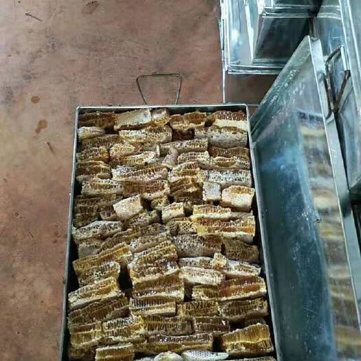 神农架中蜂蜂巢蜜