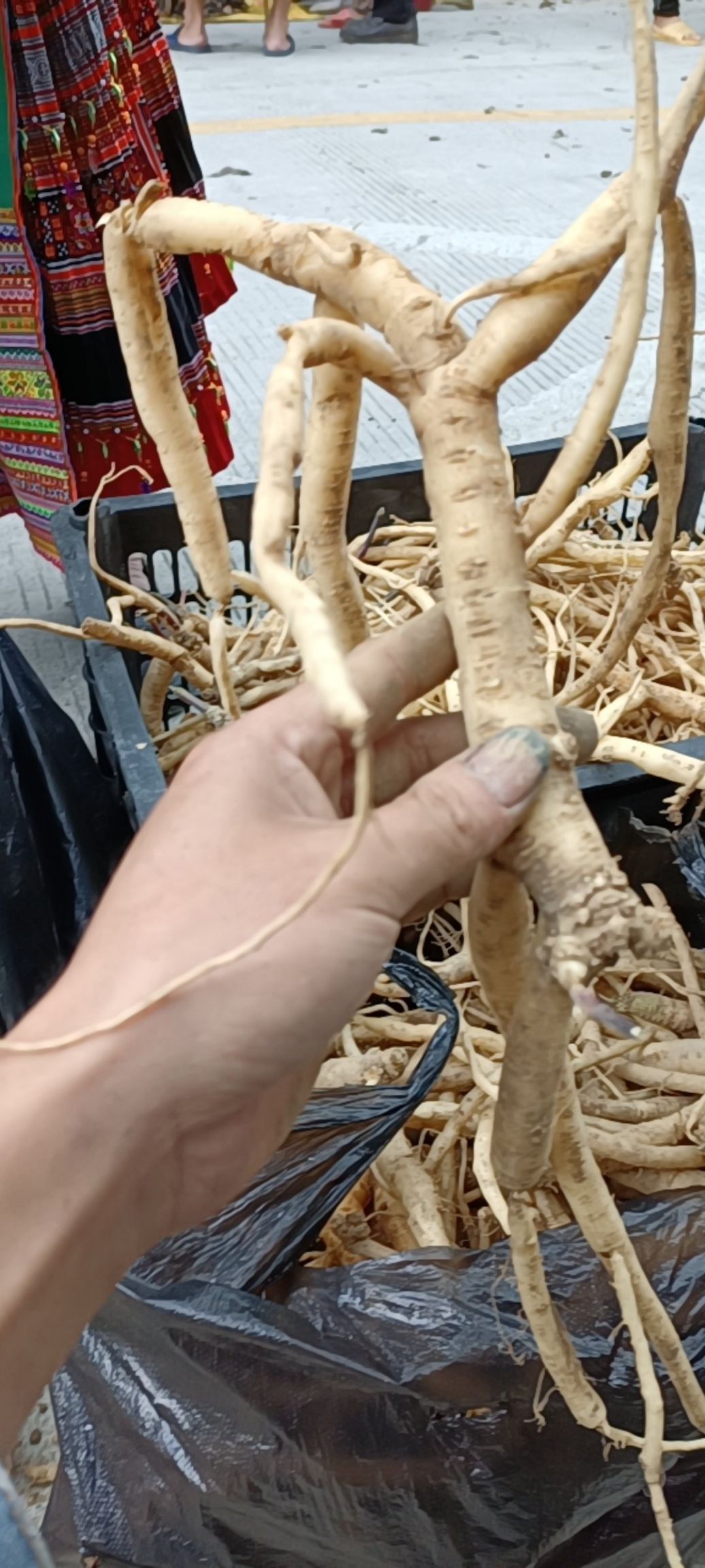 党参  土当参，奶浆根，贵州货，包邮价，