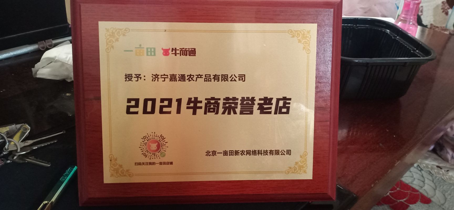 大蒜種子  蒜苗種子，四季紅根蒜苗種子，免費(fèi)提供技術(shù)
