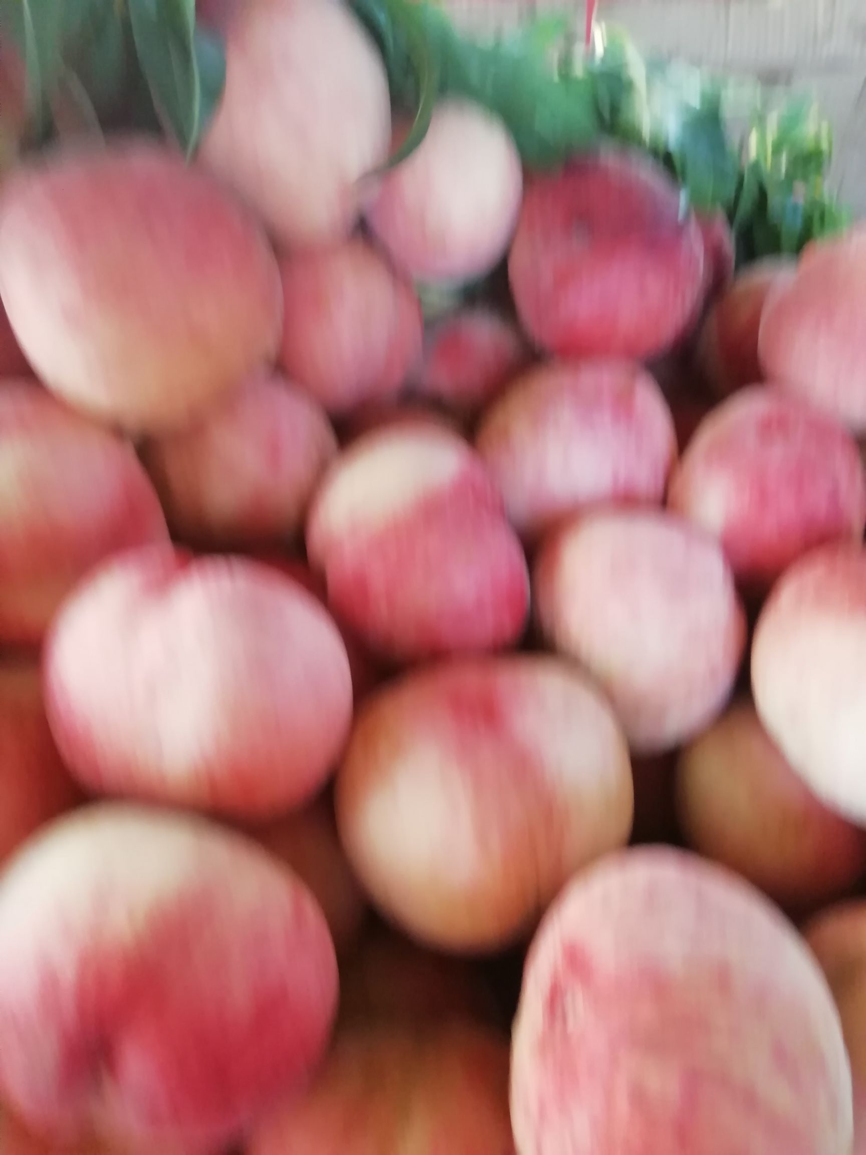 红不软桃 红不软，大量供货中，万亩基地直供价格优惠