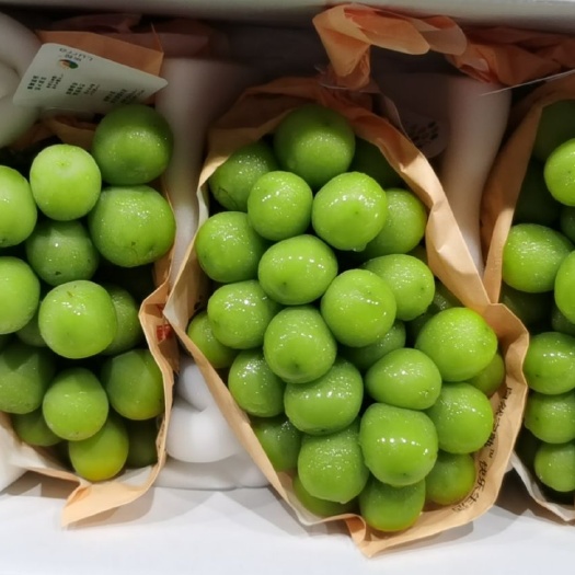 上海阳光玫瑰 特级晴王