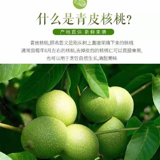 赞皇县核桃仁  青皮核桃，产地发货，现货秒发，需要大批量货的老板，欢迎详询